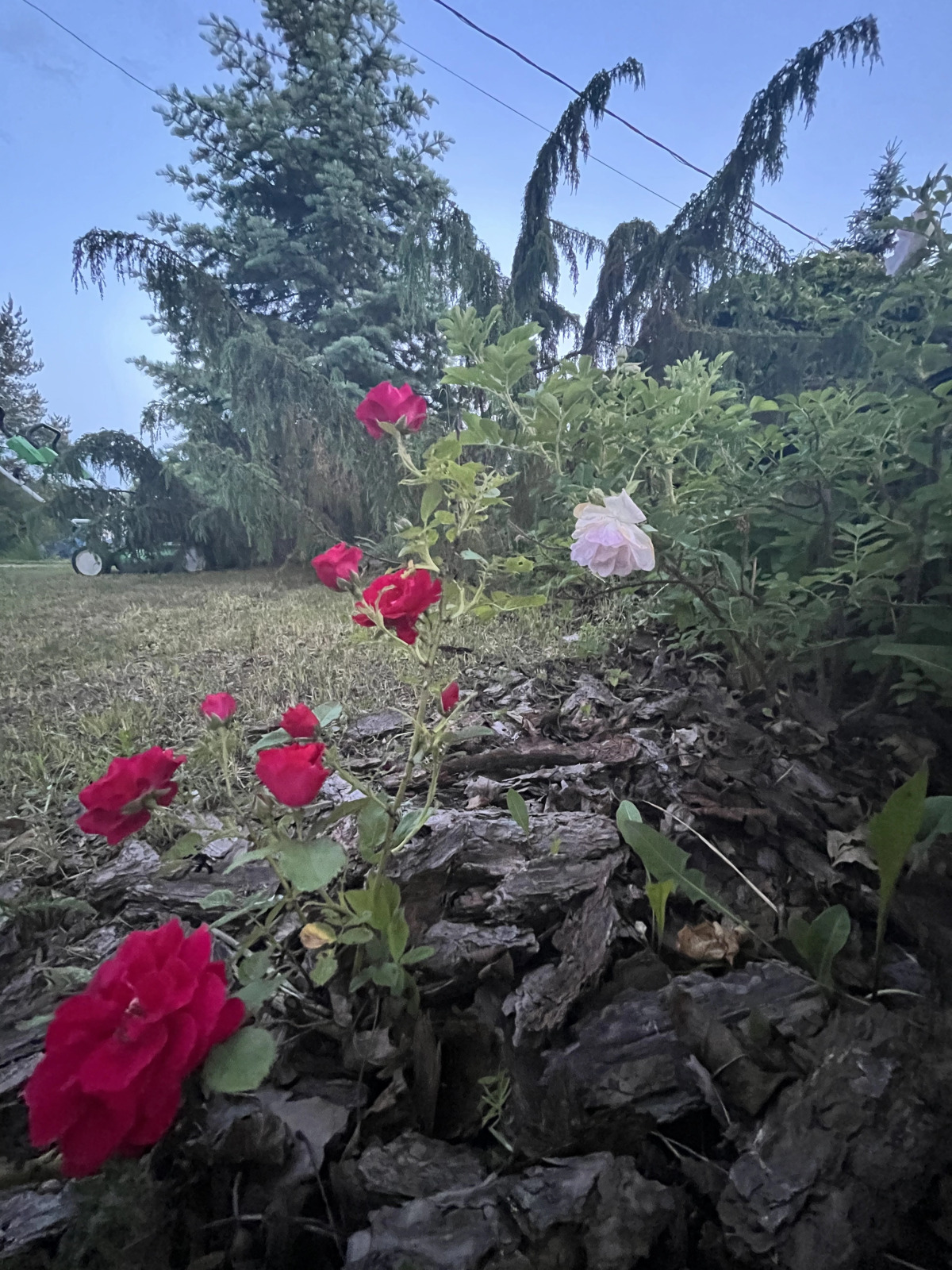 Гостевой дом Усадьба Ястребино