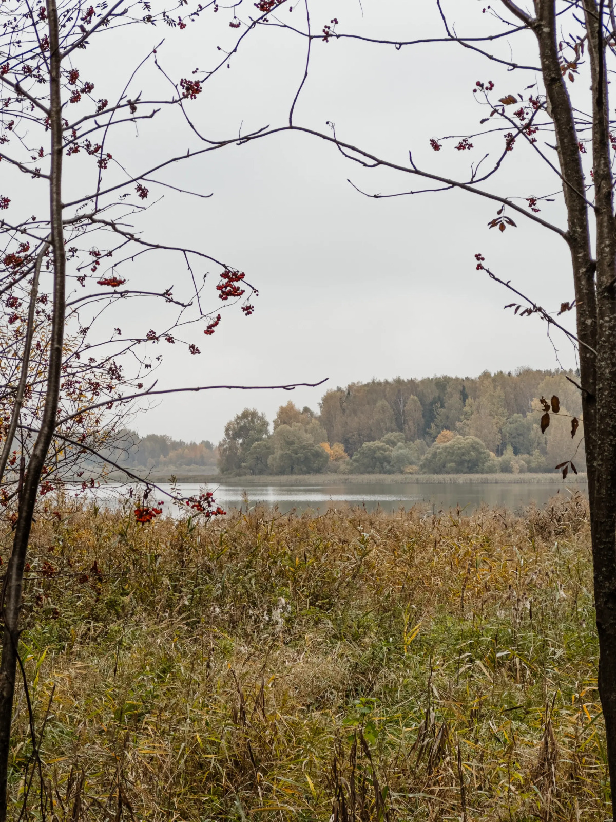 Кемпинг Берег Желаний
