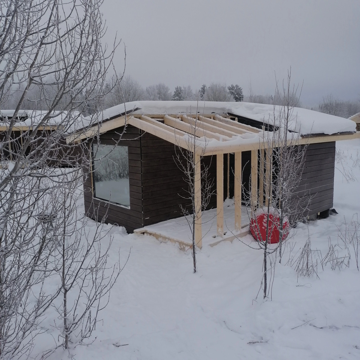 Глэмпинг Папоротник