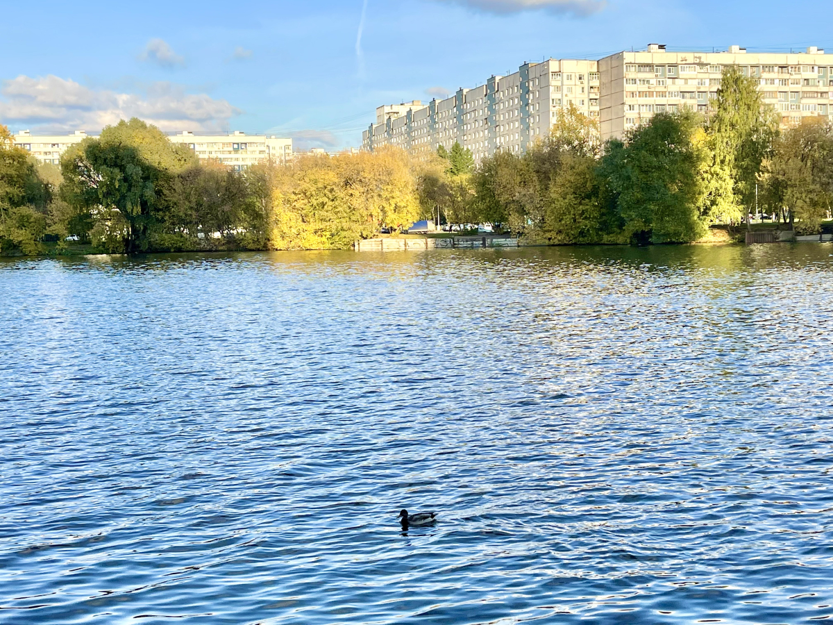 Апартаменты 2я студия Ривер парк