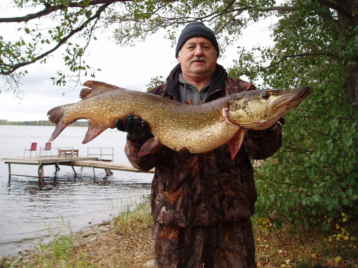 Коттеджи Lomasaaret