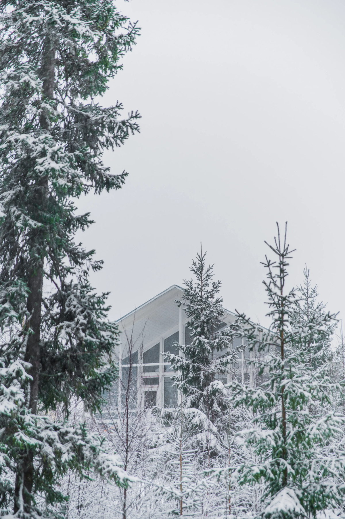 Гостевой дом Панорама Карелия
