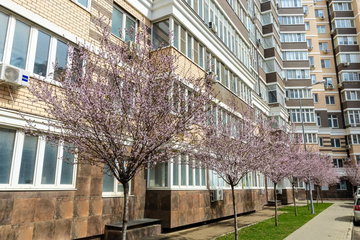 Апартаменты LYME на Конгрессной ВКК Экспоград Юг