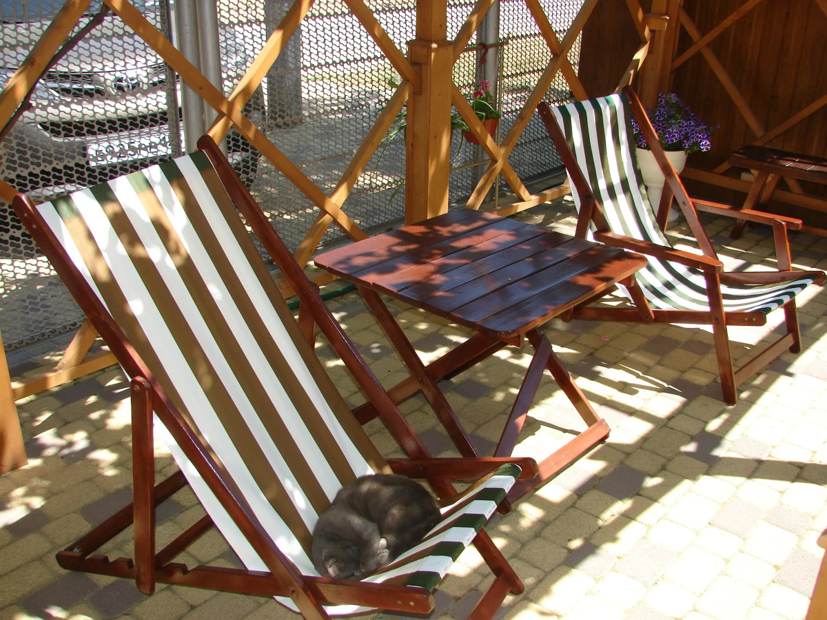 Отель Премьер