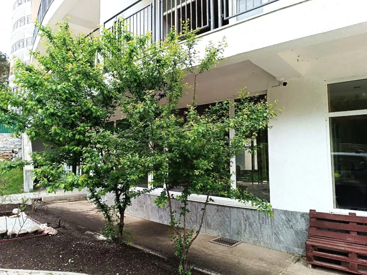 Апартаменты Шикарные на Берегу Моря