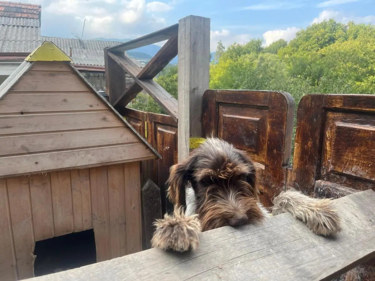 Хостел La Casa Dilijan