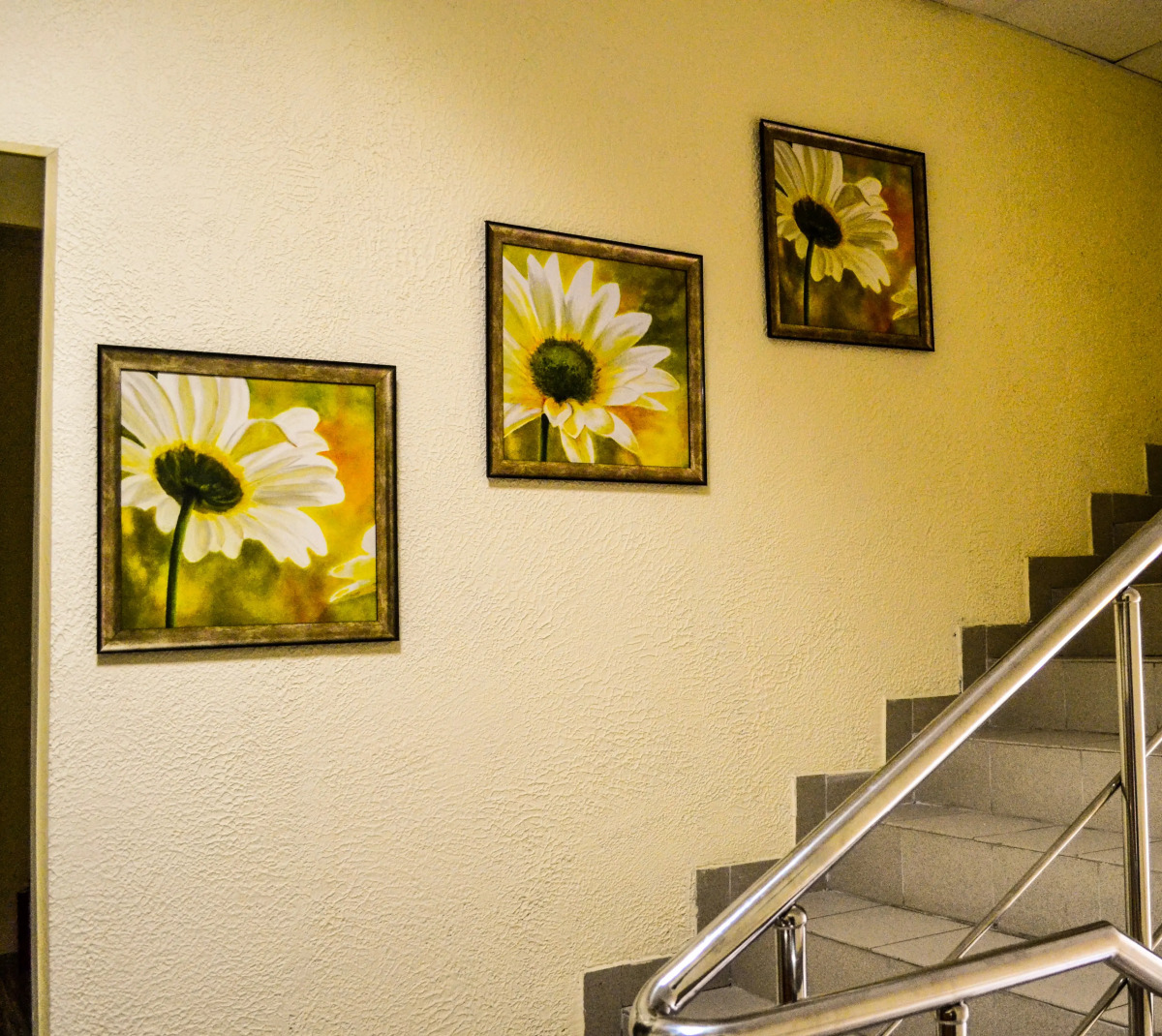 Хостел Ромашка