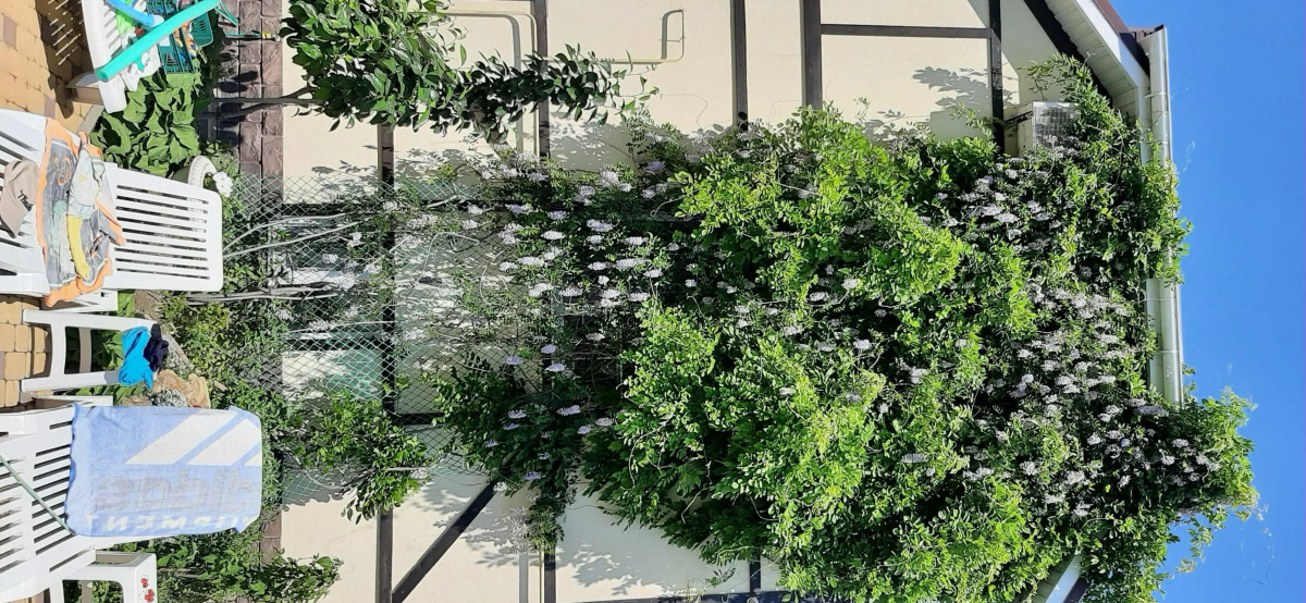 Guest House on Aivazovskogo 38