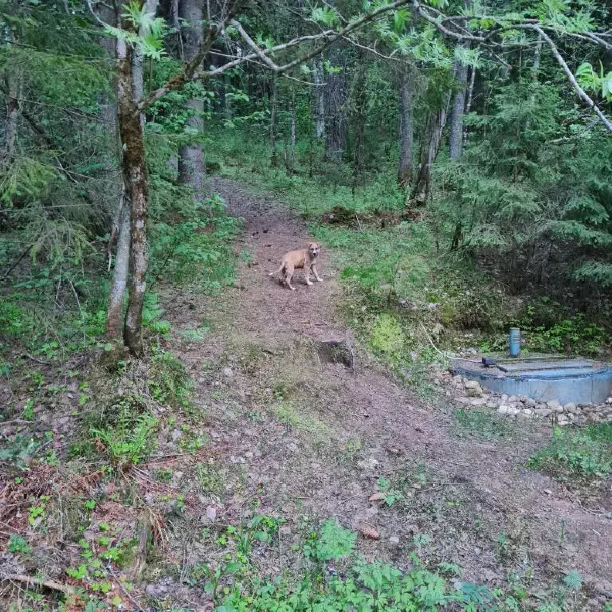 Апартаменты Валдай Пространство мечты 1