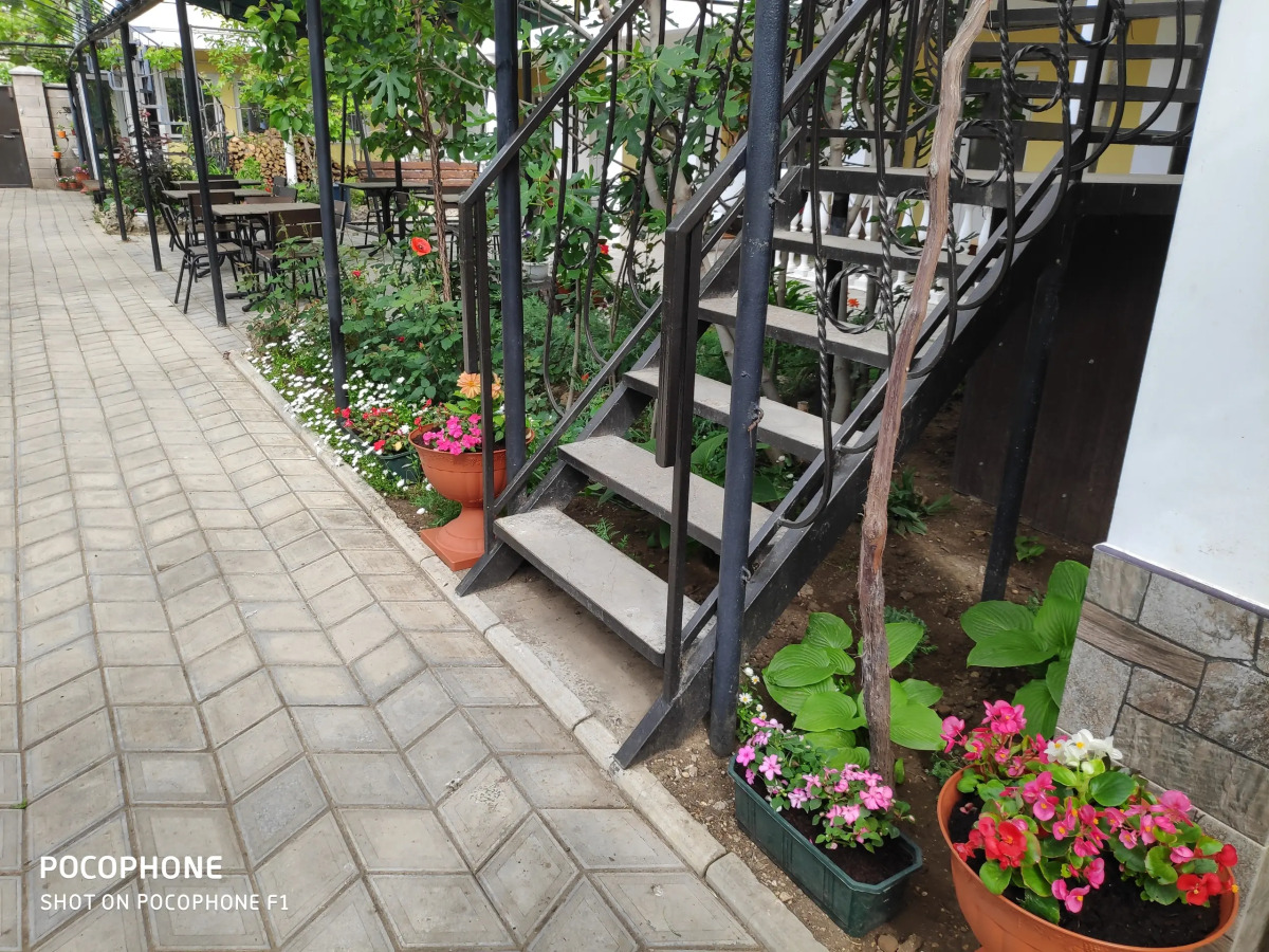 Гостевой Дом У Чижика