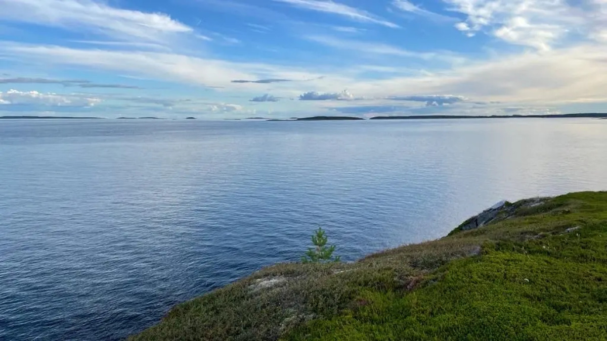 Guest house Гостевой дом