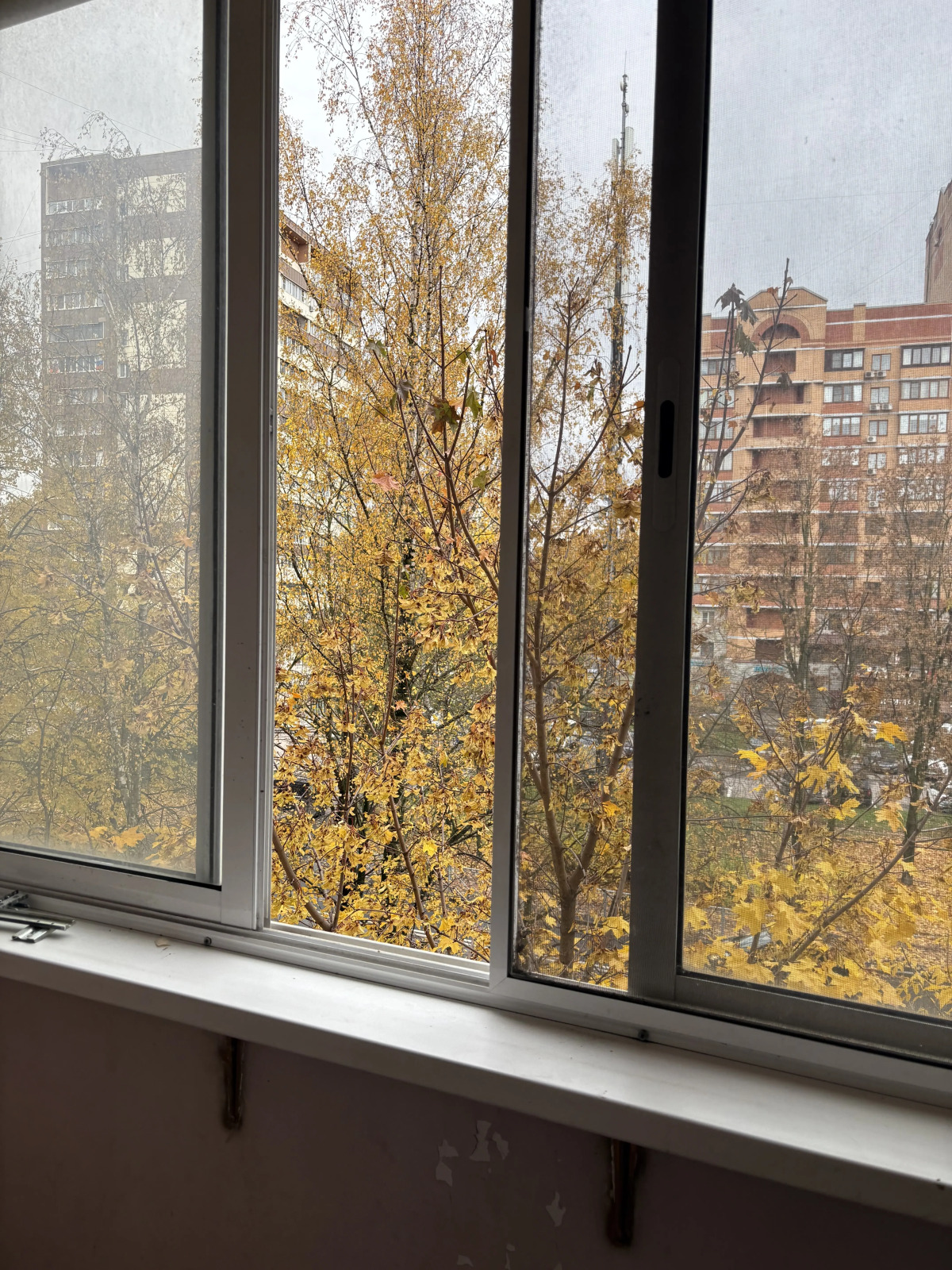 Квартира 3х комнатная квартира на Пацаева