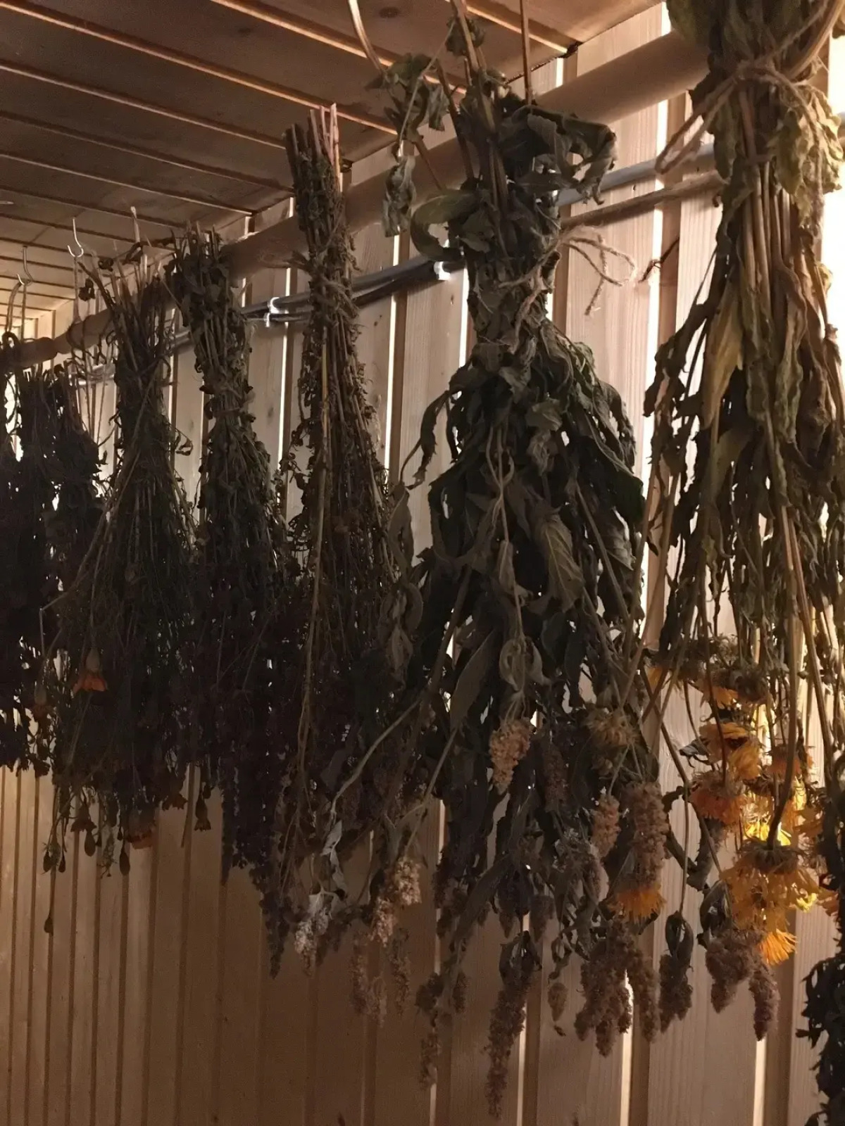 Гостевой дом Елки-палки