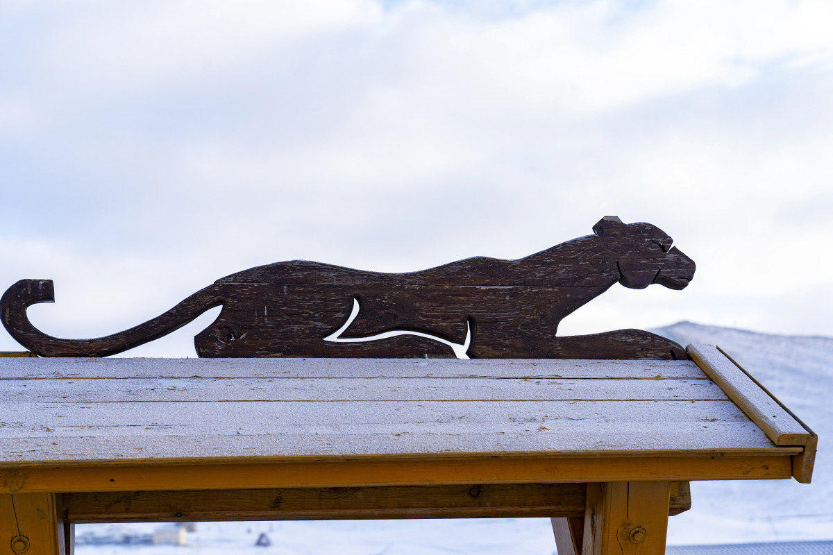 Гостевой дом Панорама