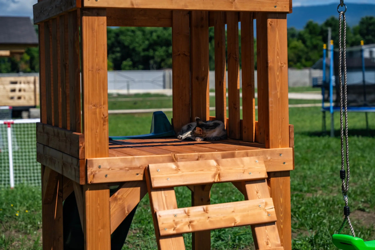 Гостевой дом Sea village Gumista