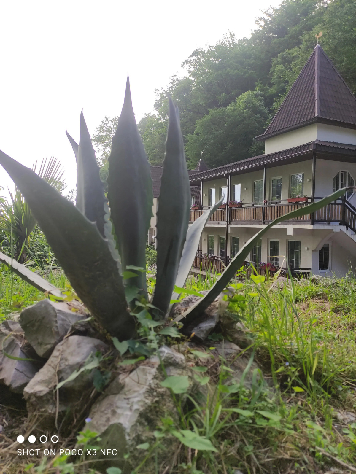 Гостевой Дом Агава