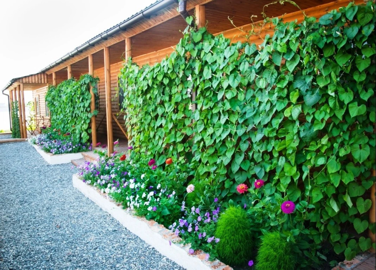 Пансионат Новый Океан