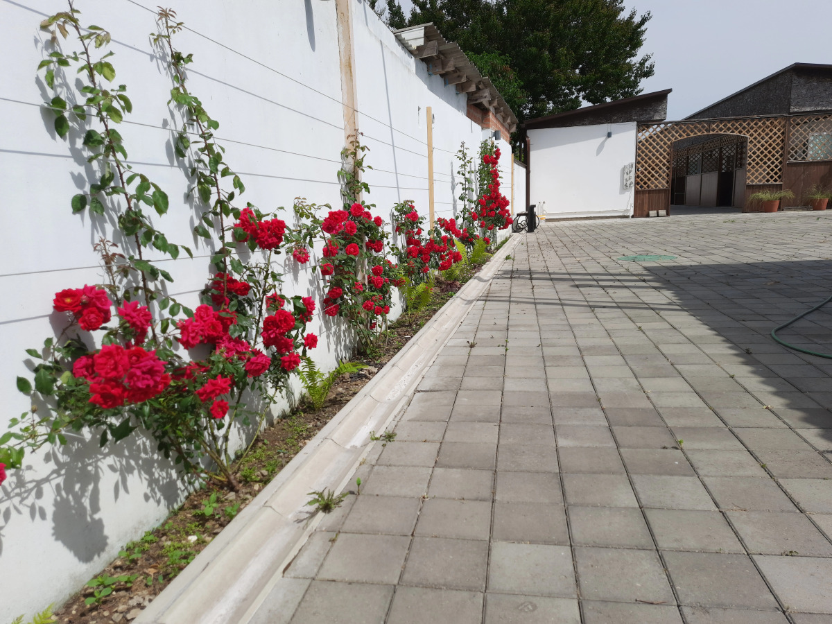 Гостевой дом Уютная Лачуга