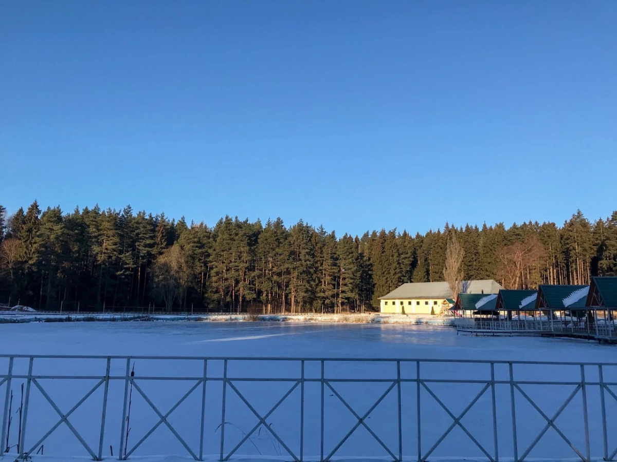 Отель Лесная Сказка