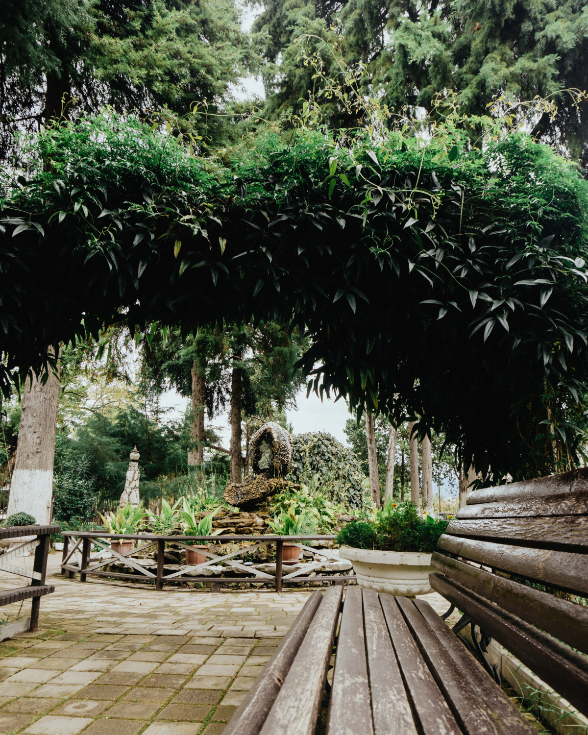 Отель Пицунда