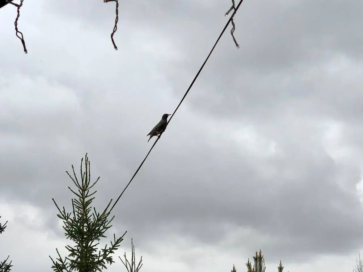 Гостевой дом Эко-отель Шанти