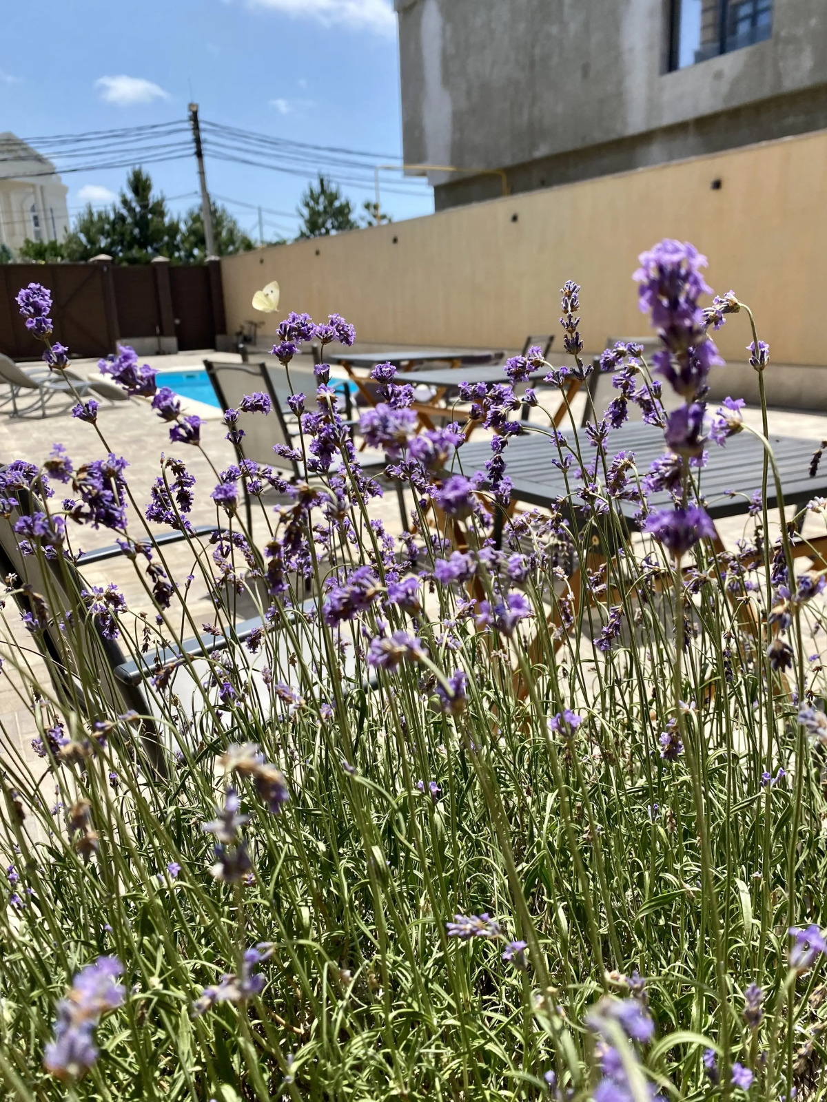 Гостевой дом Виколь