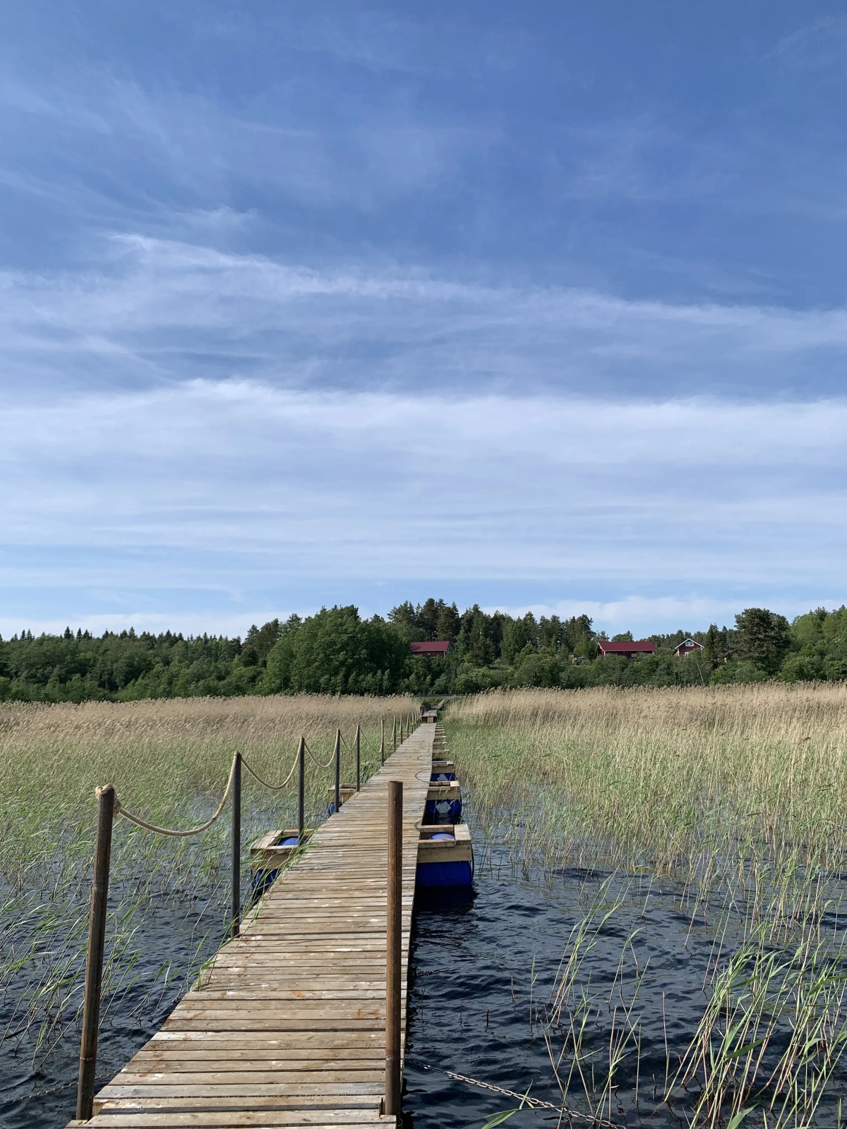 Гостевой дом Тайка Хаус