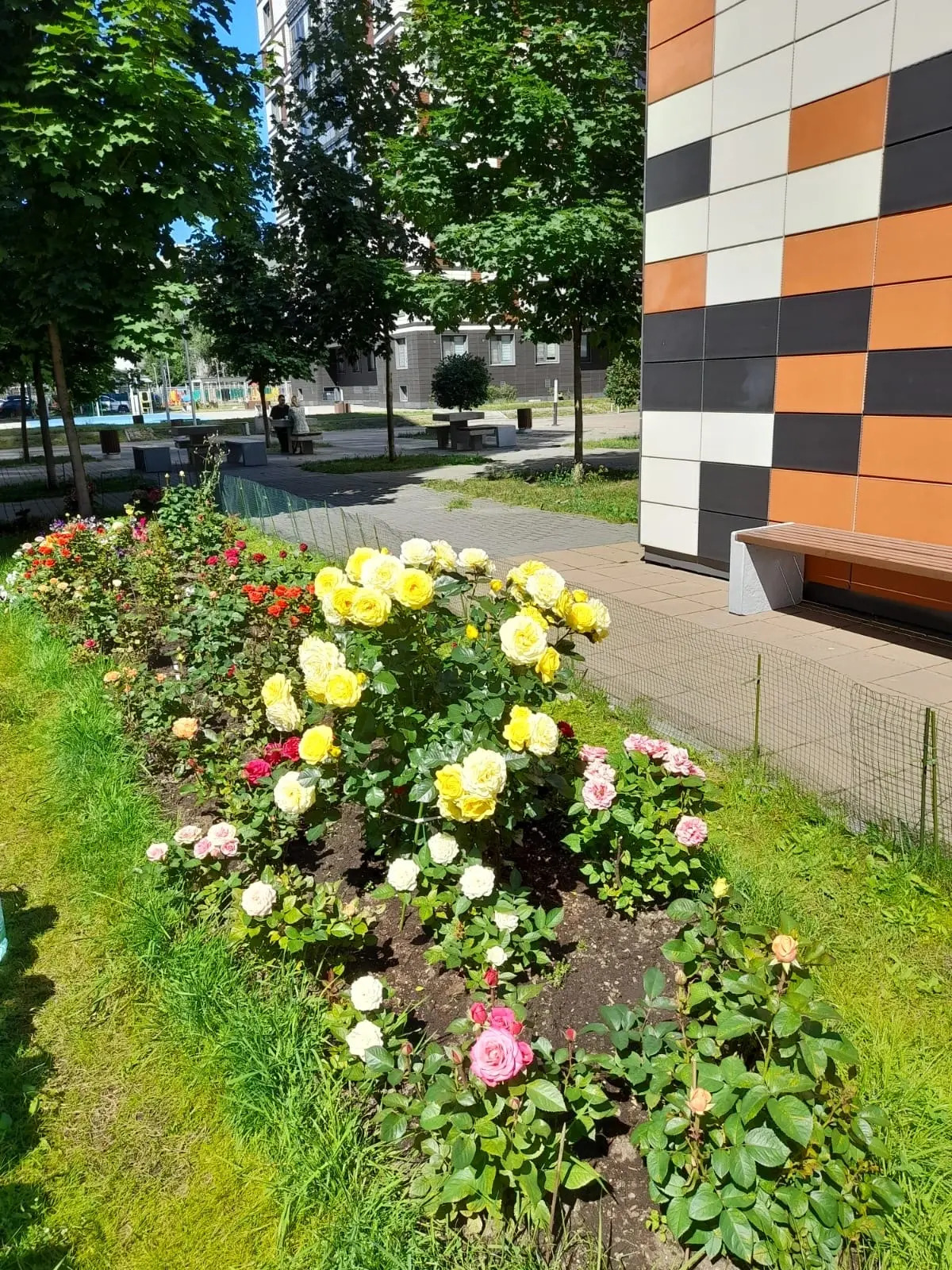 Апартаменты на Петроградке