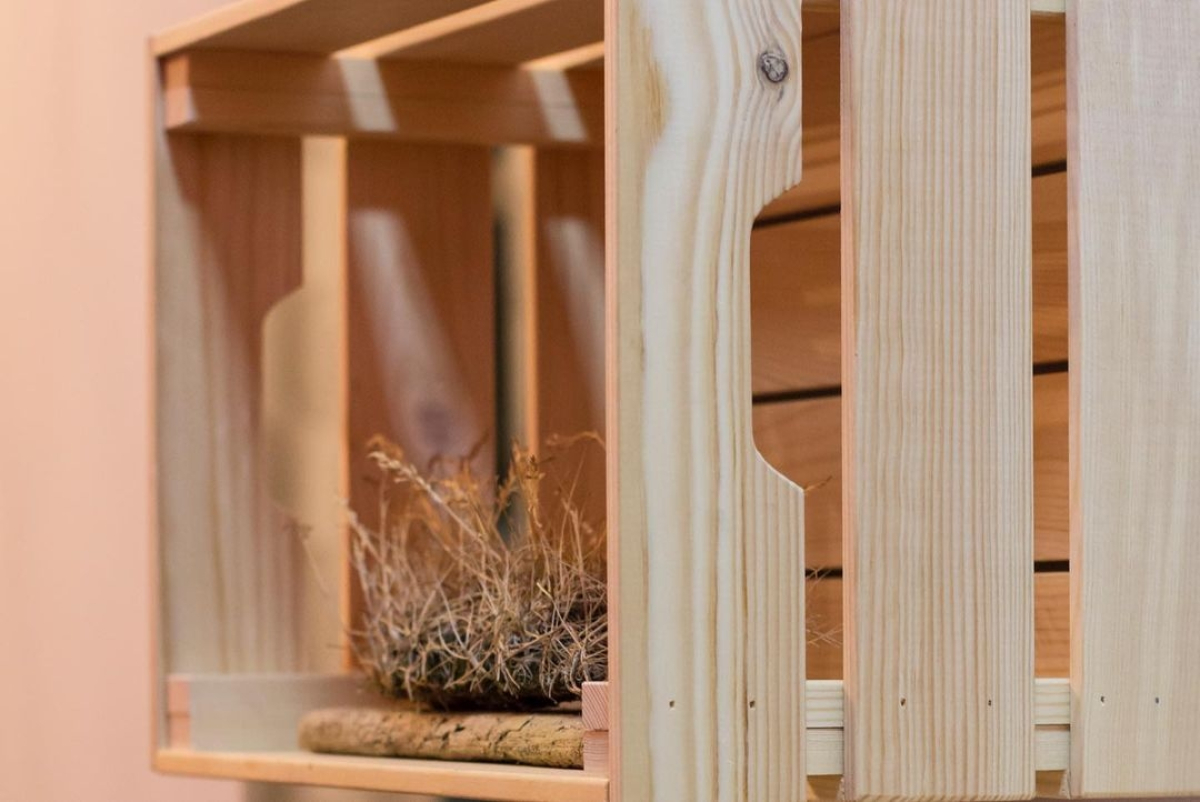 Хостел Ягель