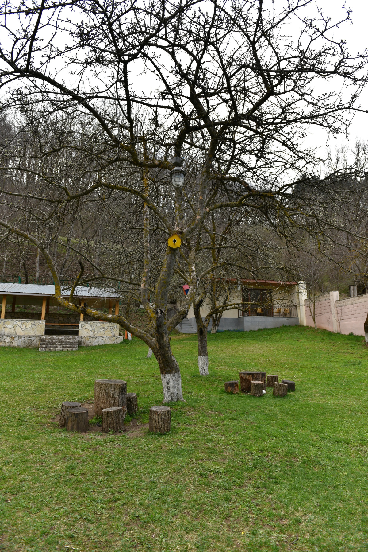 Отель Green Wood