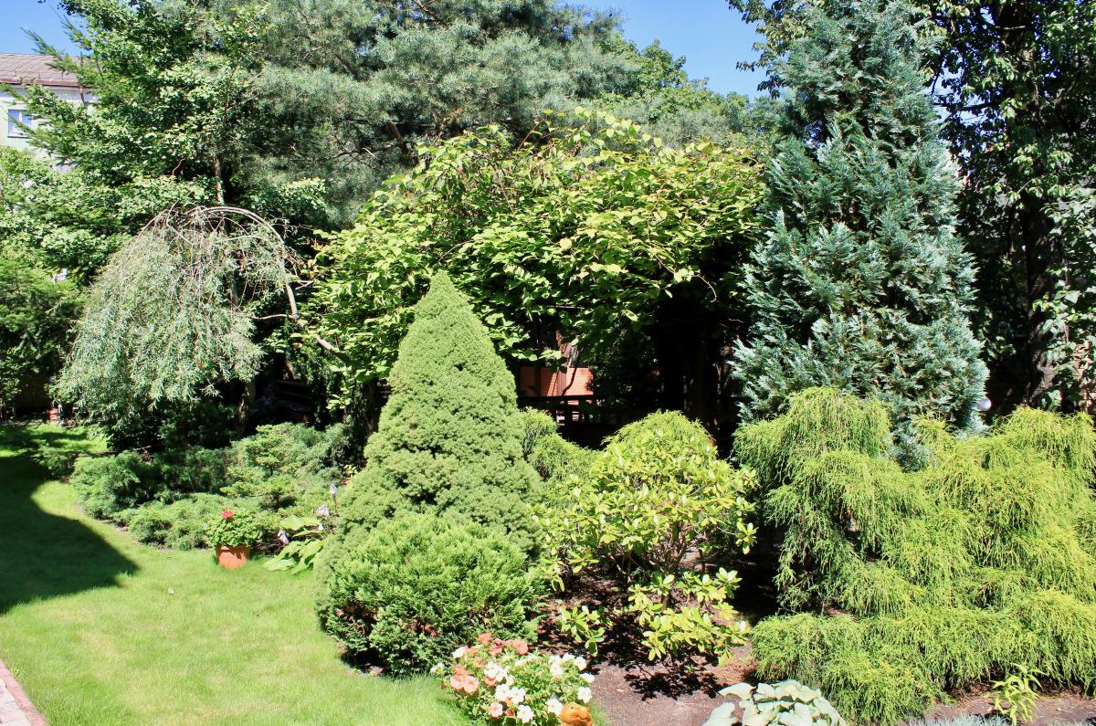 Гостевой дом Черепаха