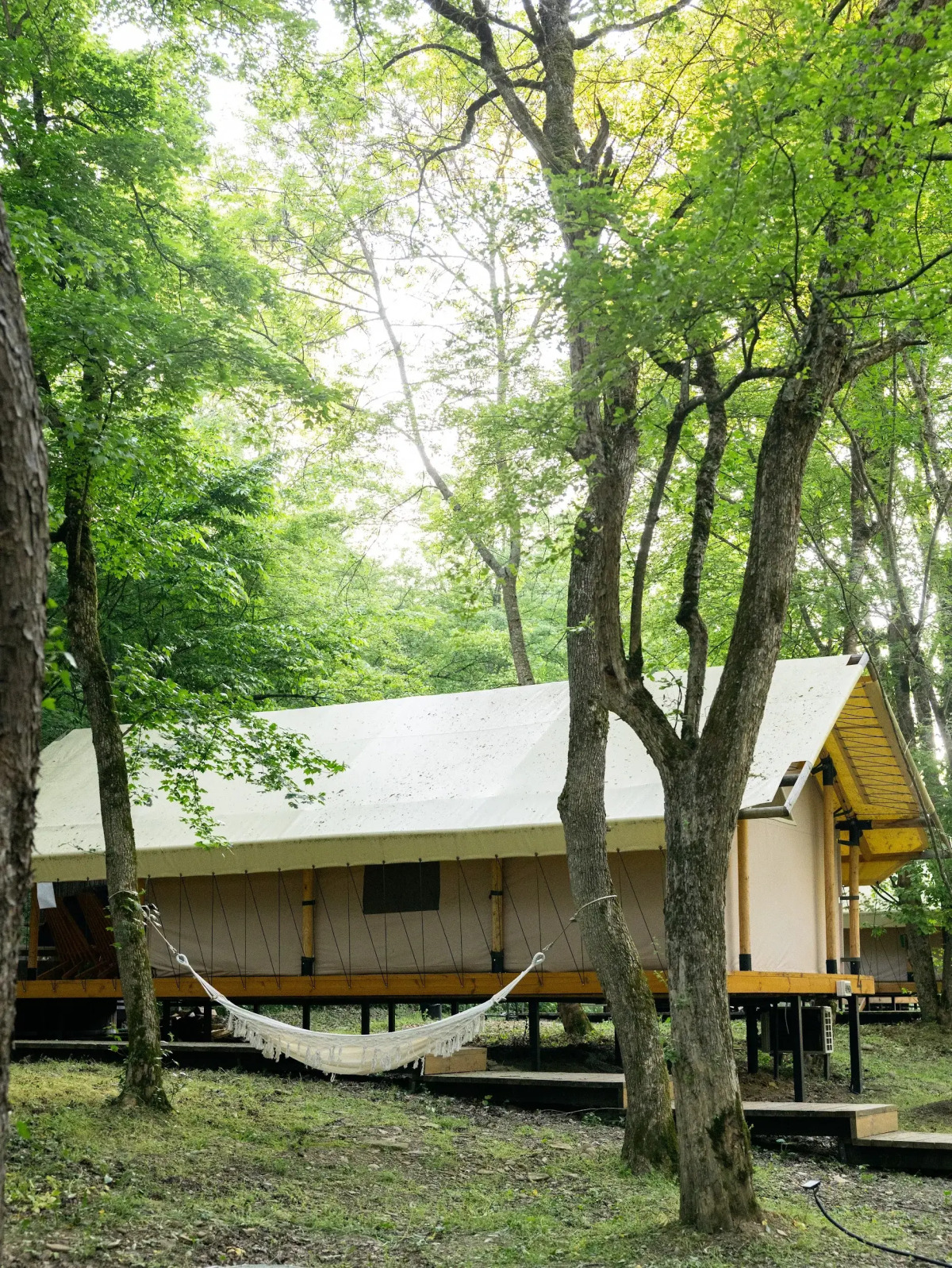 Глэмпинг Белый Кролик