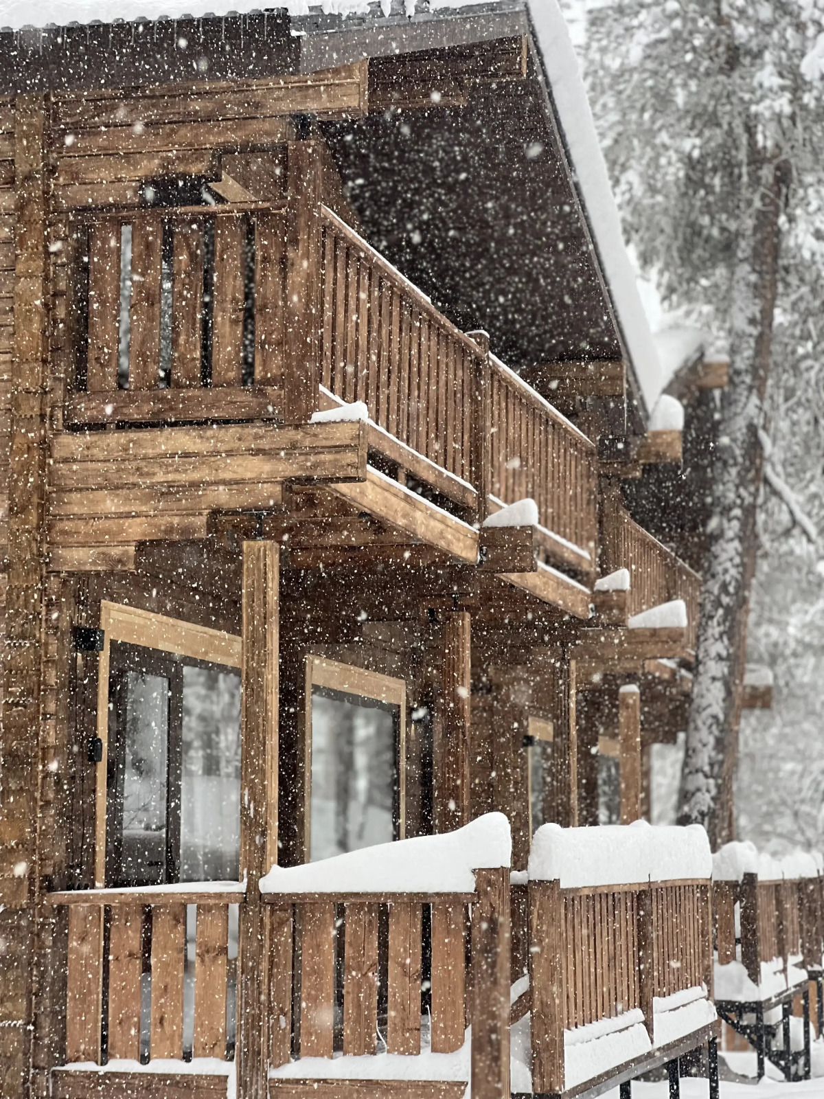 Шале Chalet Mandarin