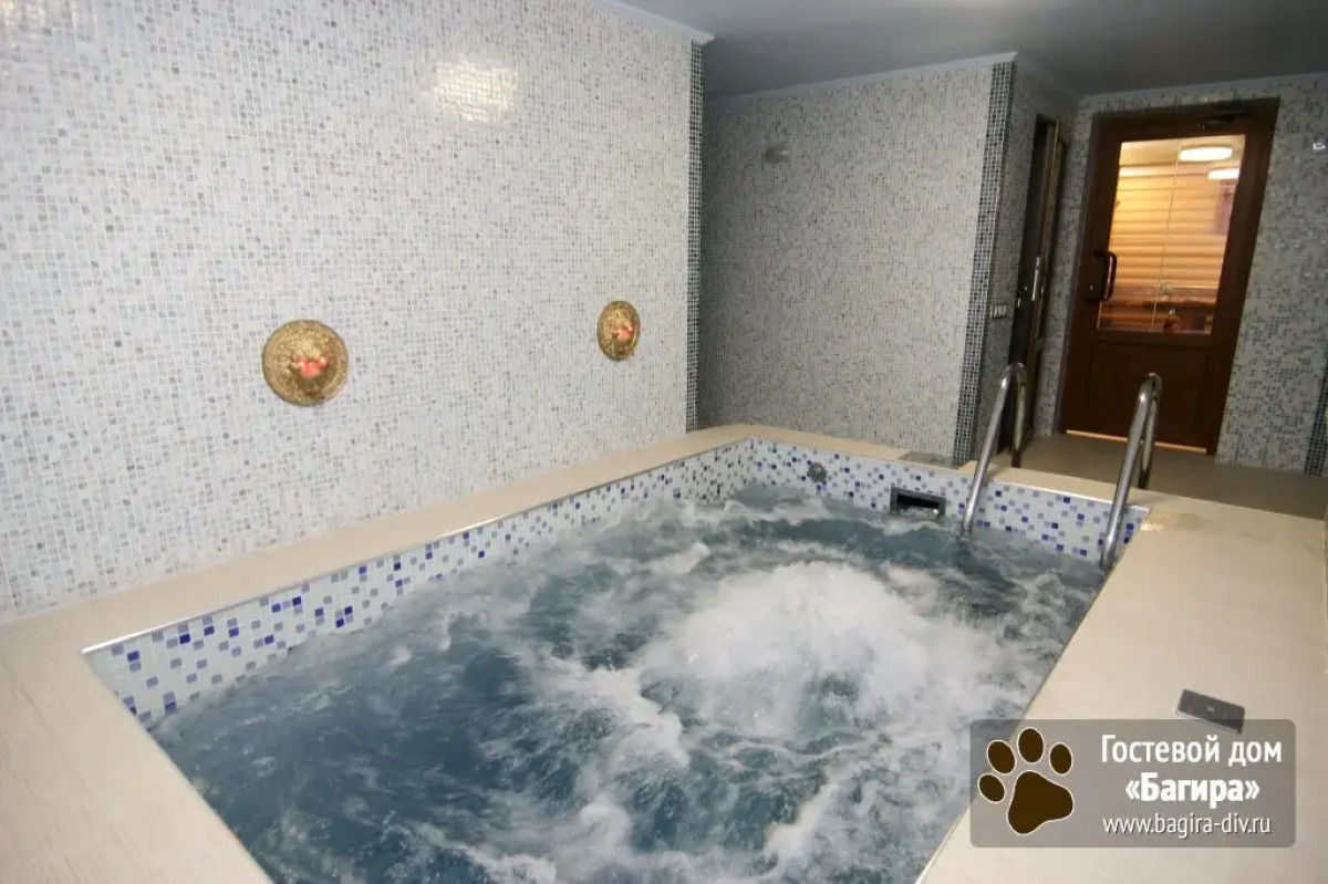 Отель Багира