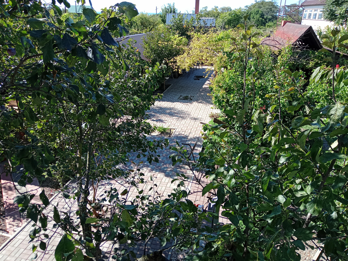 Отель Парк Отель Севилия