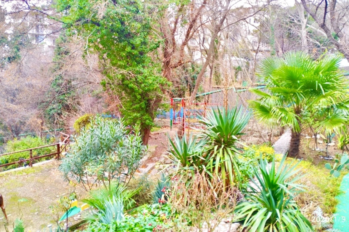 Гостевой дом Гаспра Солнечный бриз