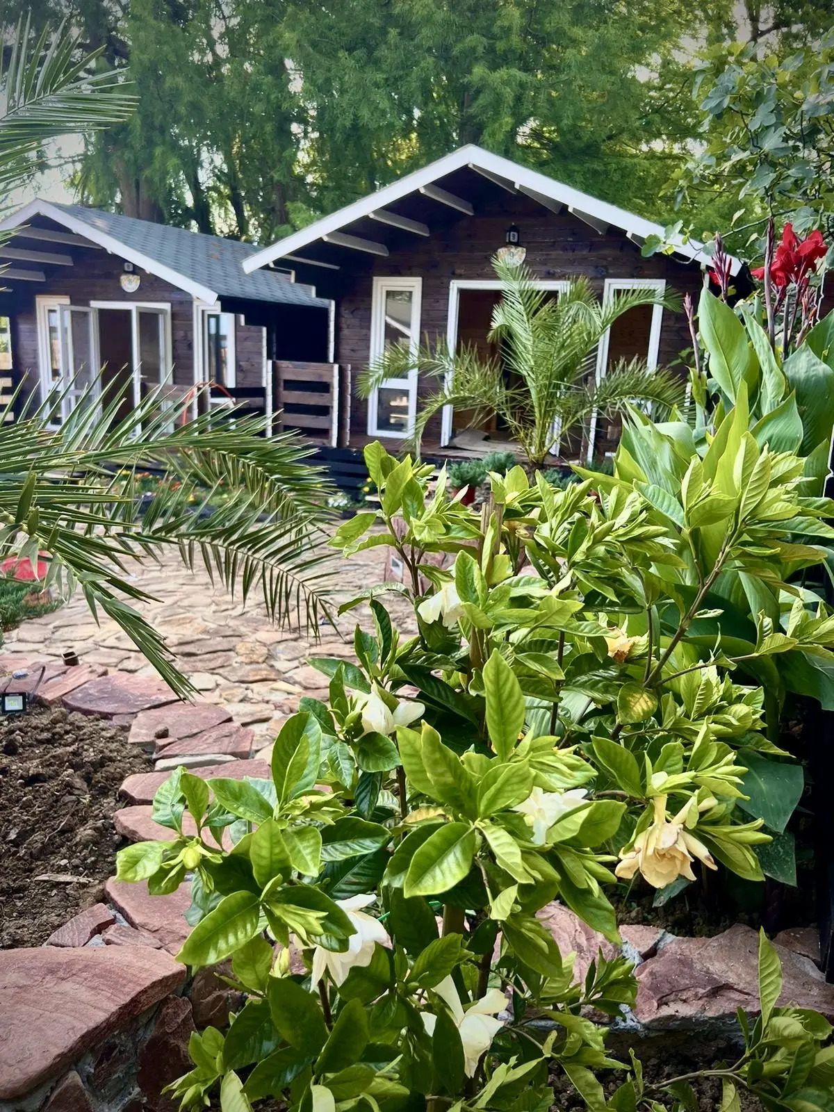 База отдыха Флора