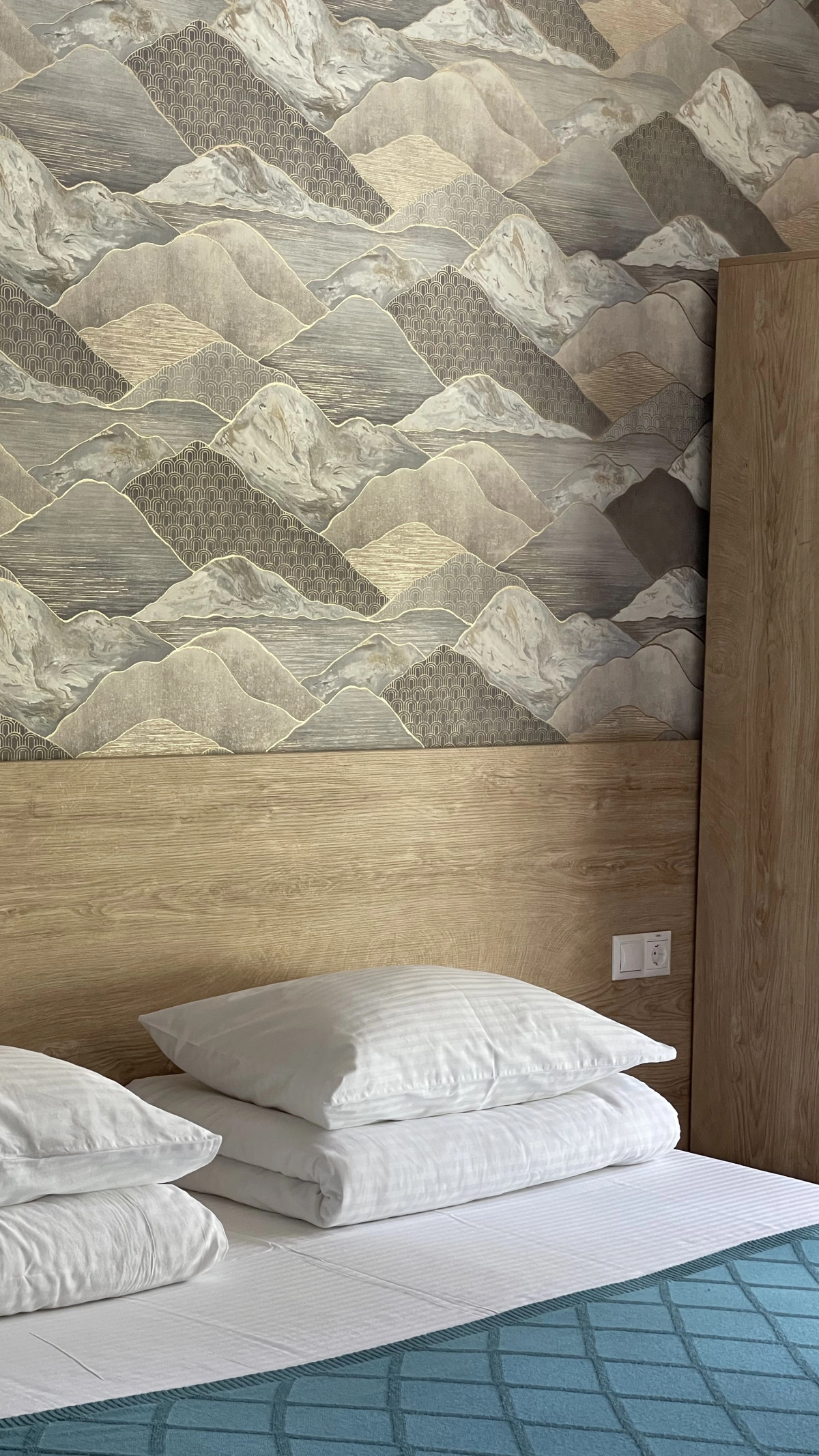 Гостевые дома Шишка