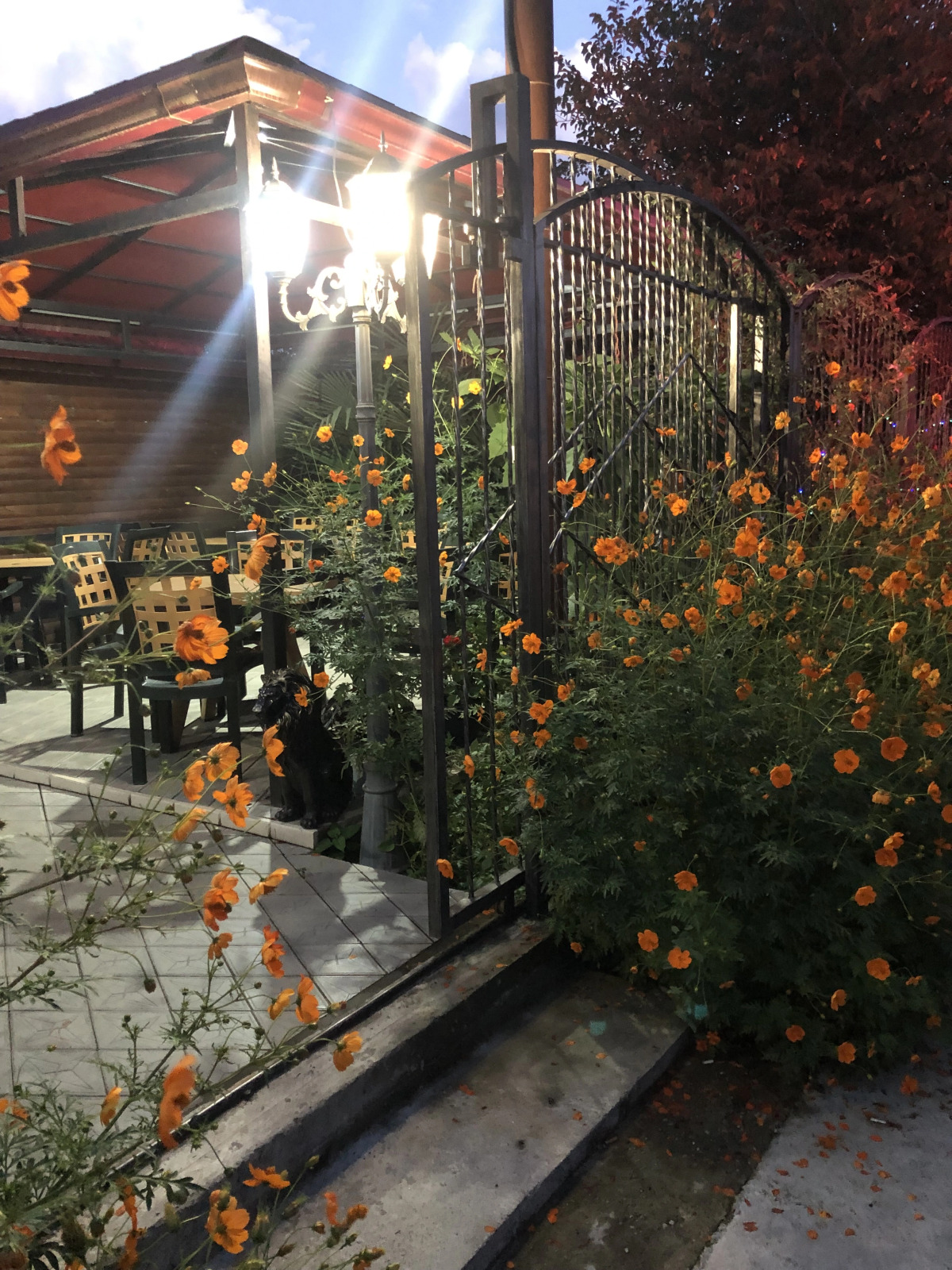 Гостевой дом Морская сказка