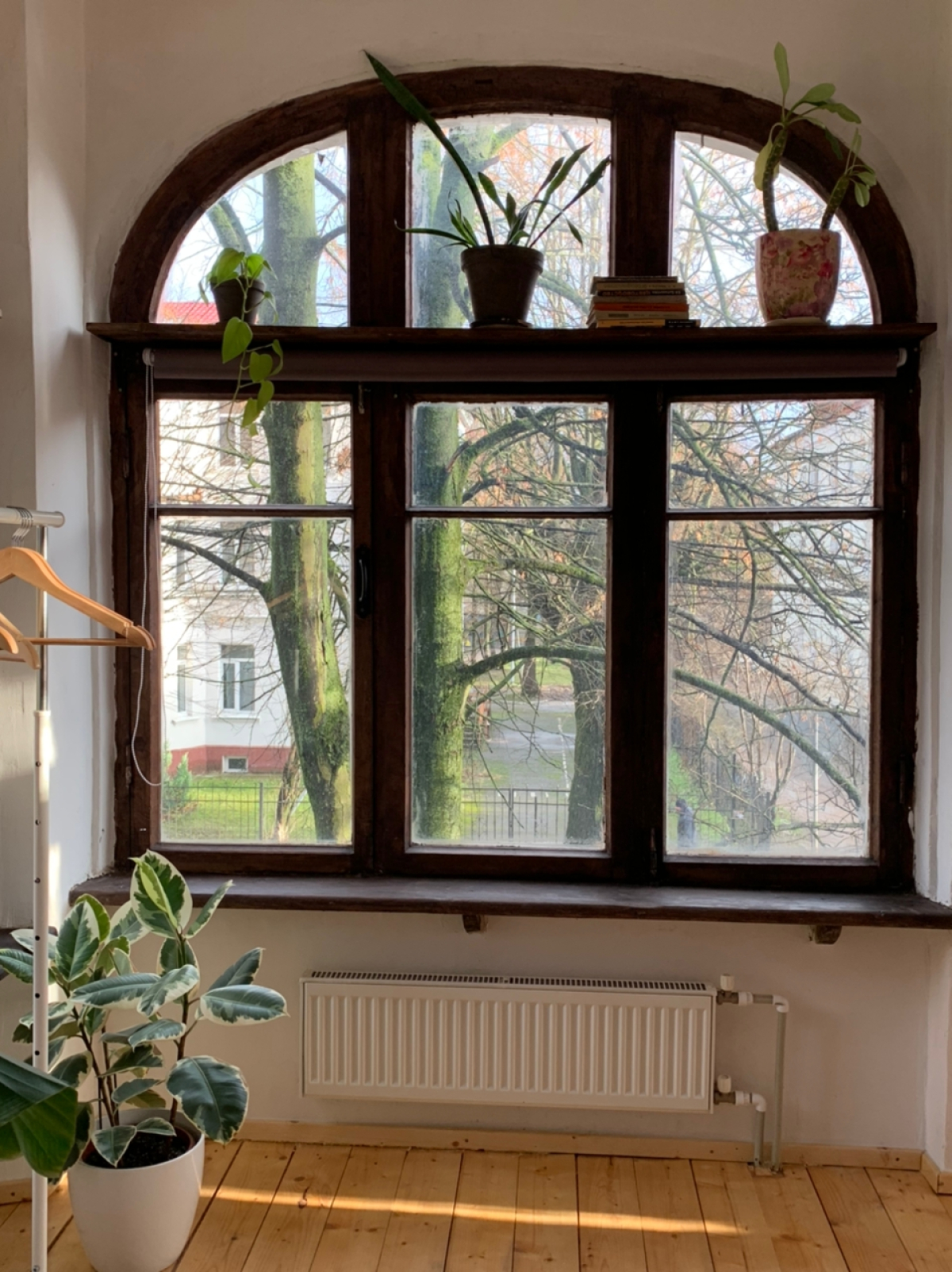 Апартаменты Оранжерея