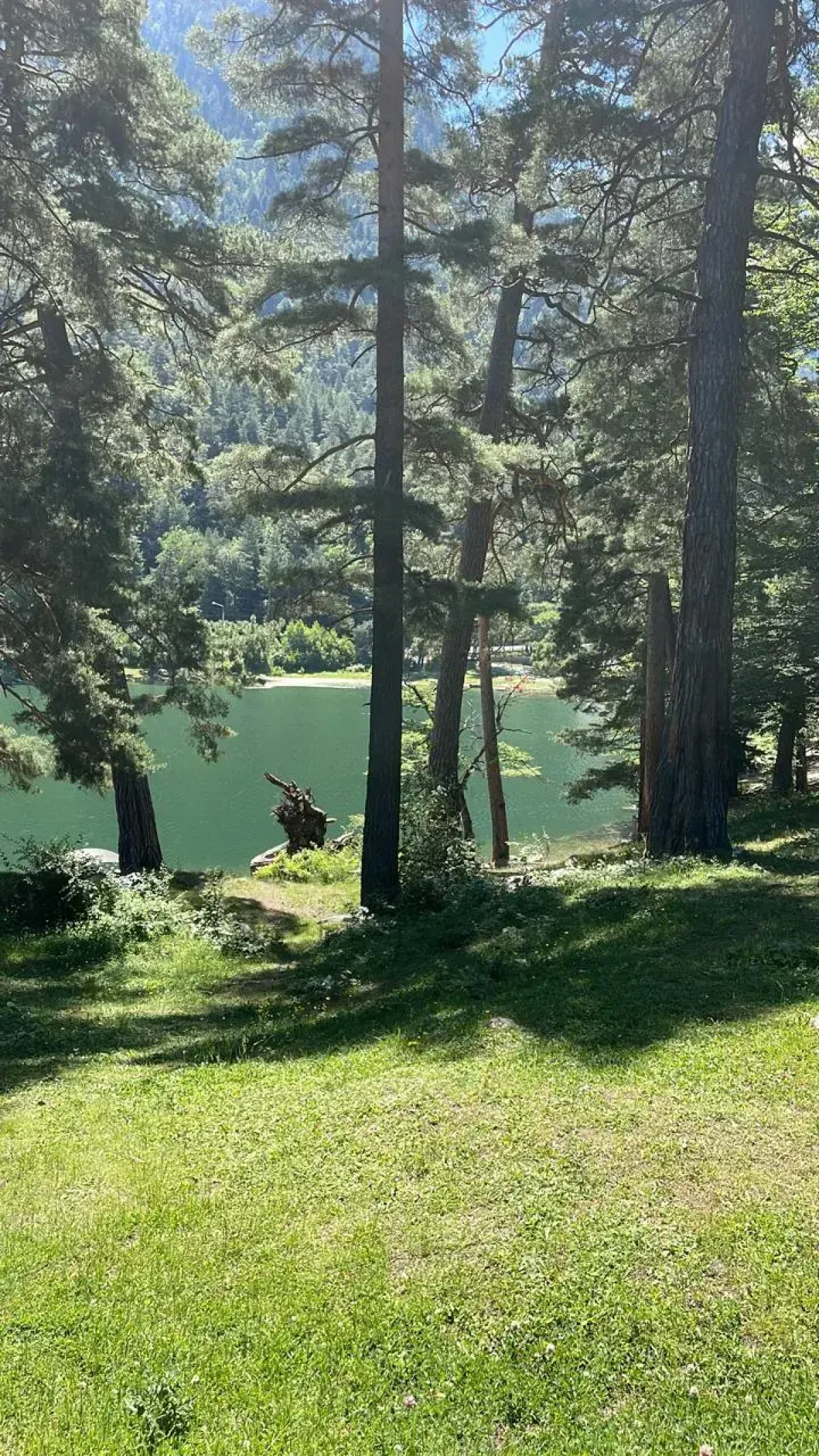 Гостевой дом Дача МиСо Теберда by Dombay Flats