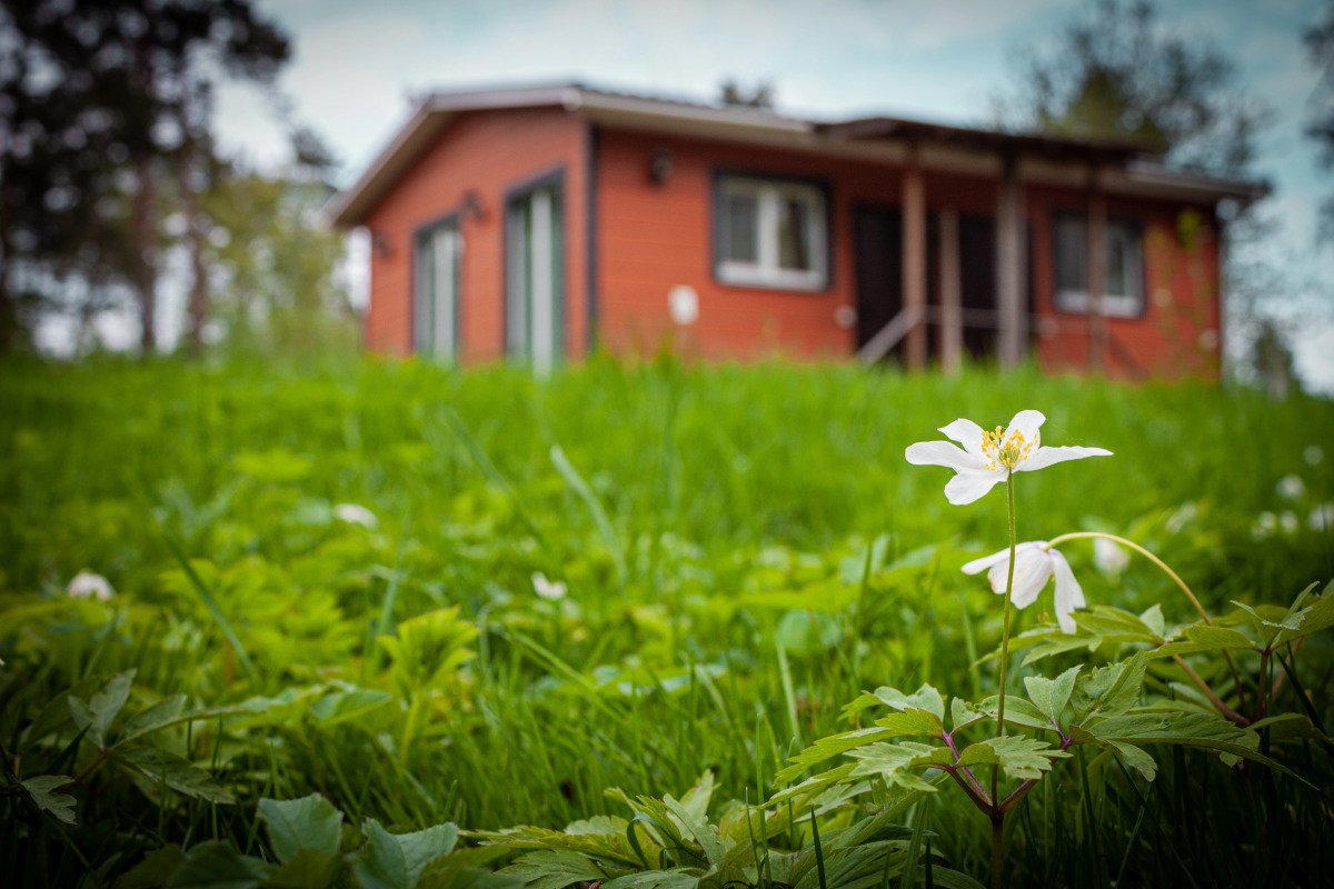 Гостевой дом ЕдунеЕду — дачи в аренду