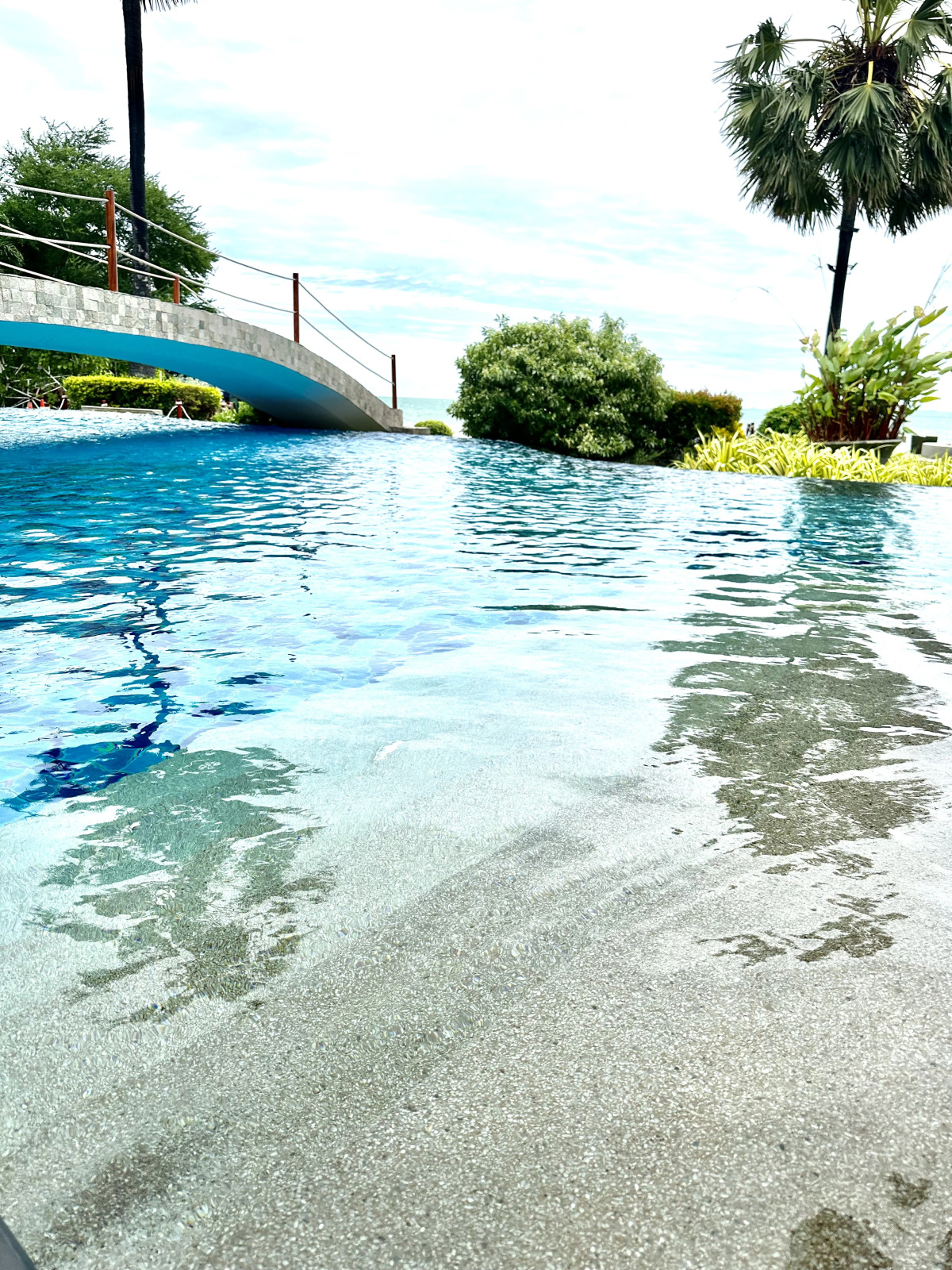 Апартаменты Palm Wongamat Pattaya