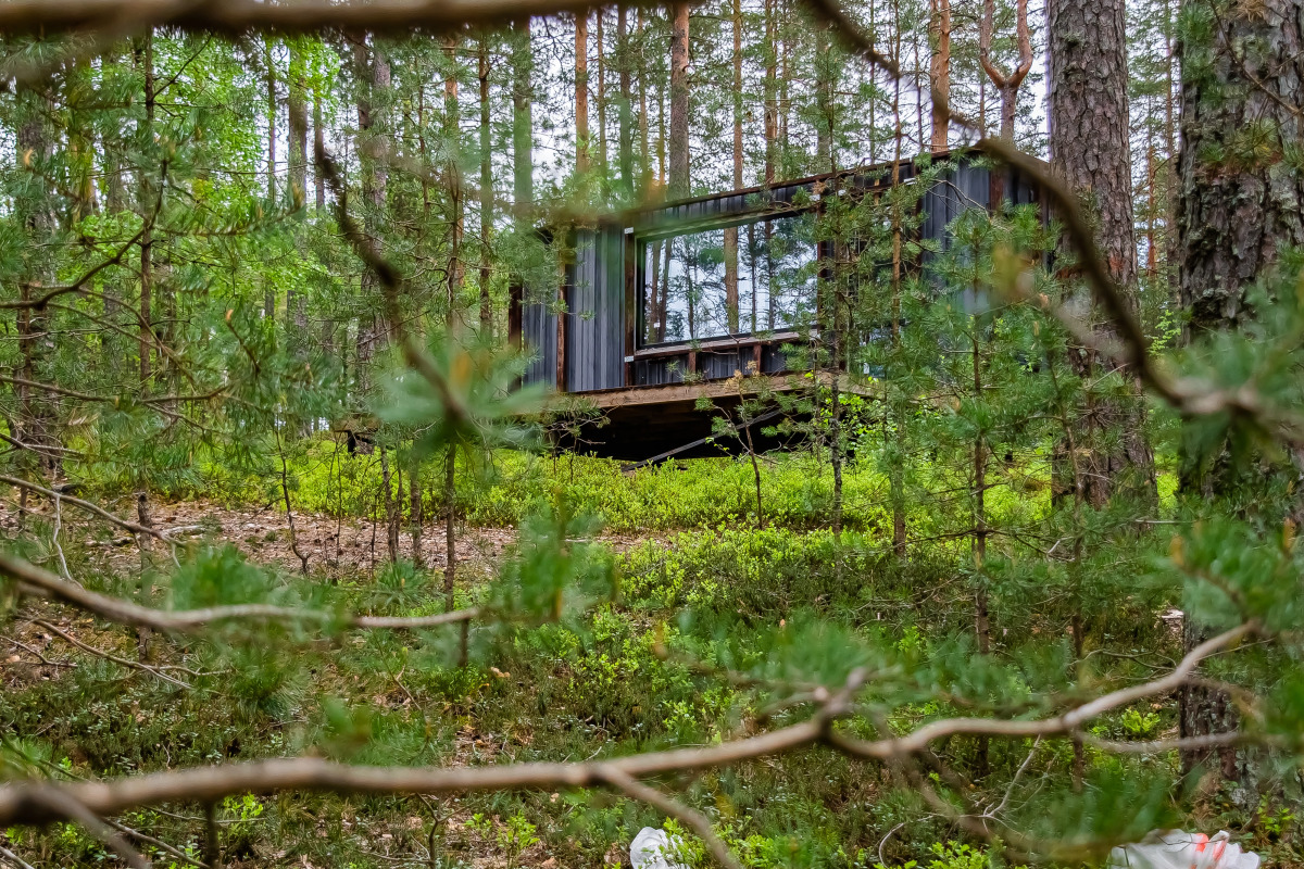 База отдыха Загородный клуб Радужный лес
