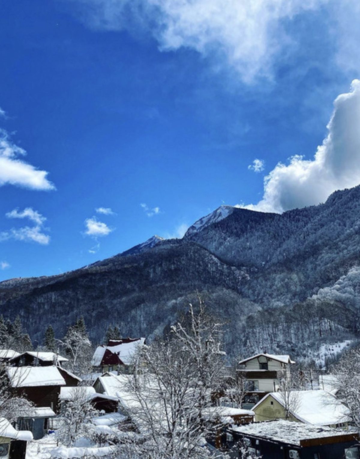 Гостевой дом РА в пространстве SUNSVET