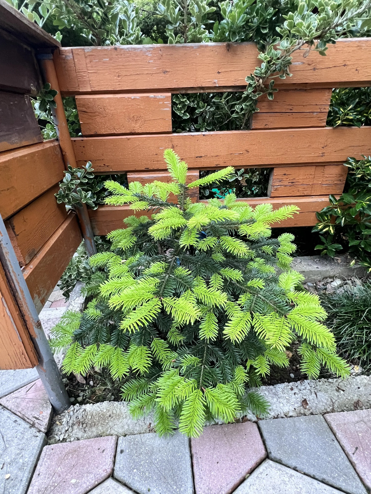 Гостевой дом Амальфи