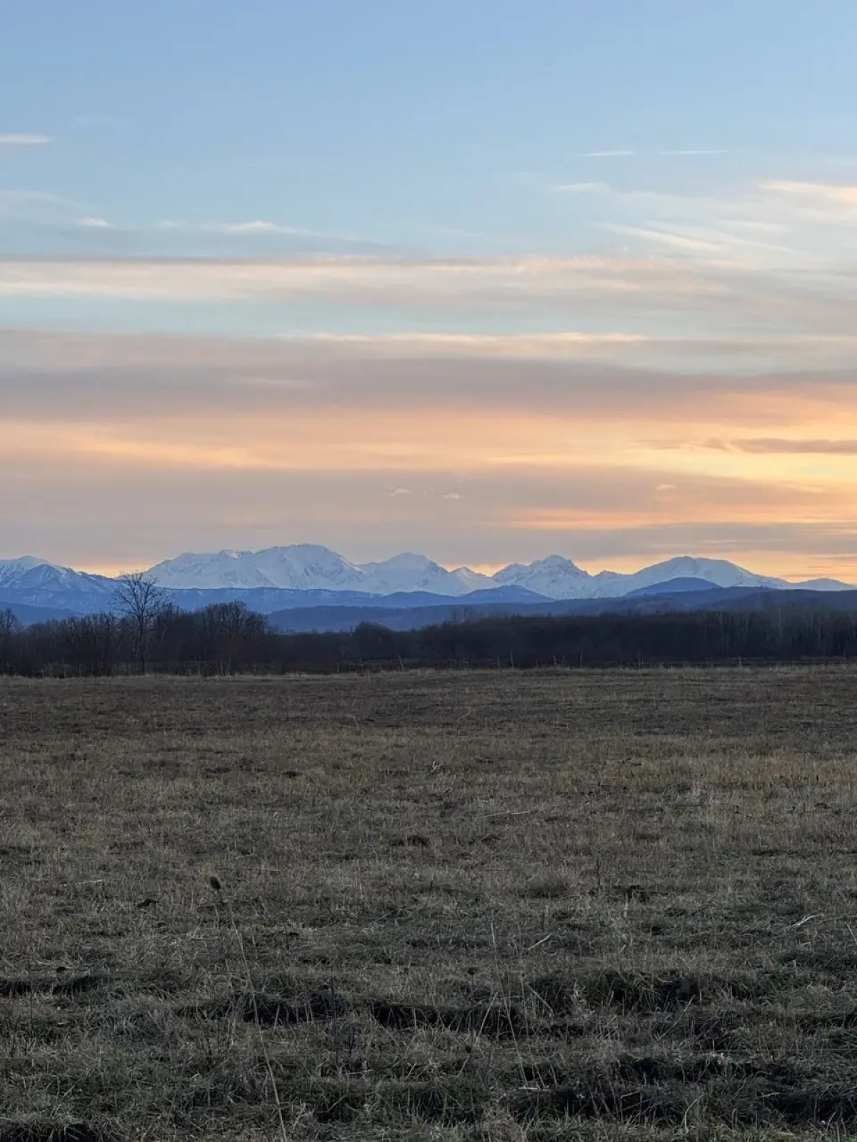 Гостевой Дом Видисвет