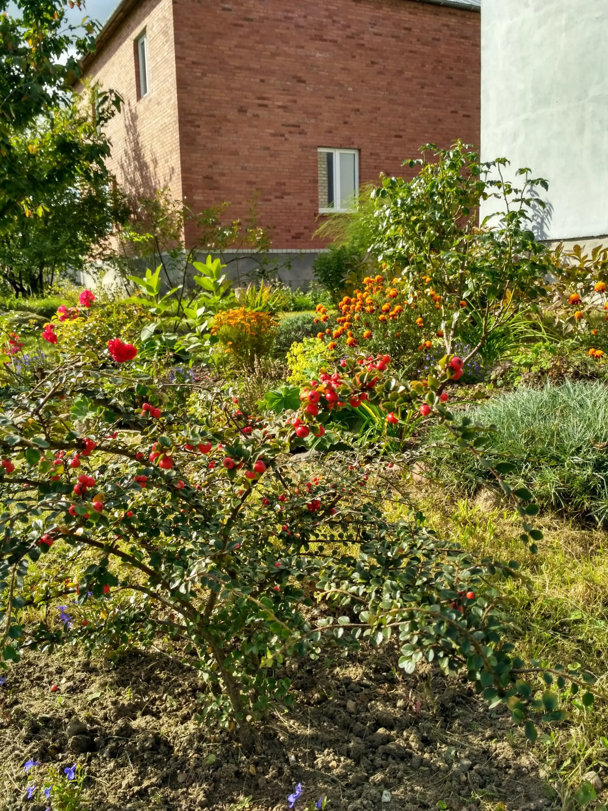 Апартаменты Homestay Vera