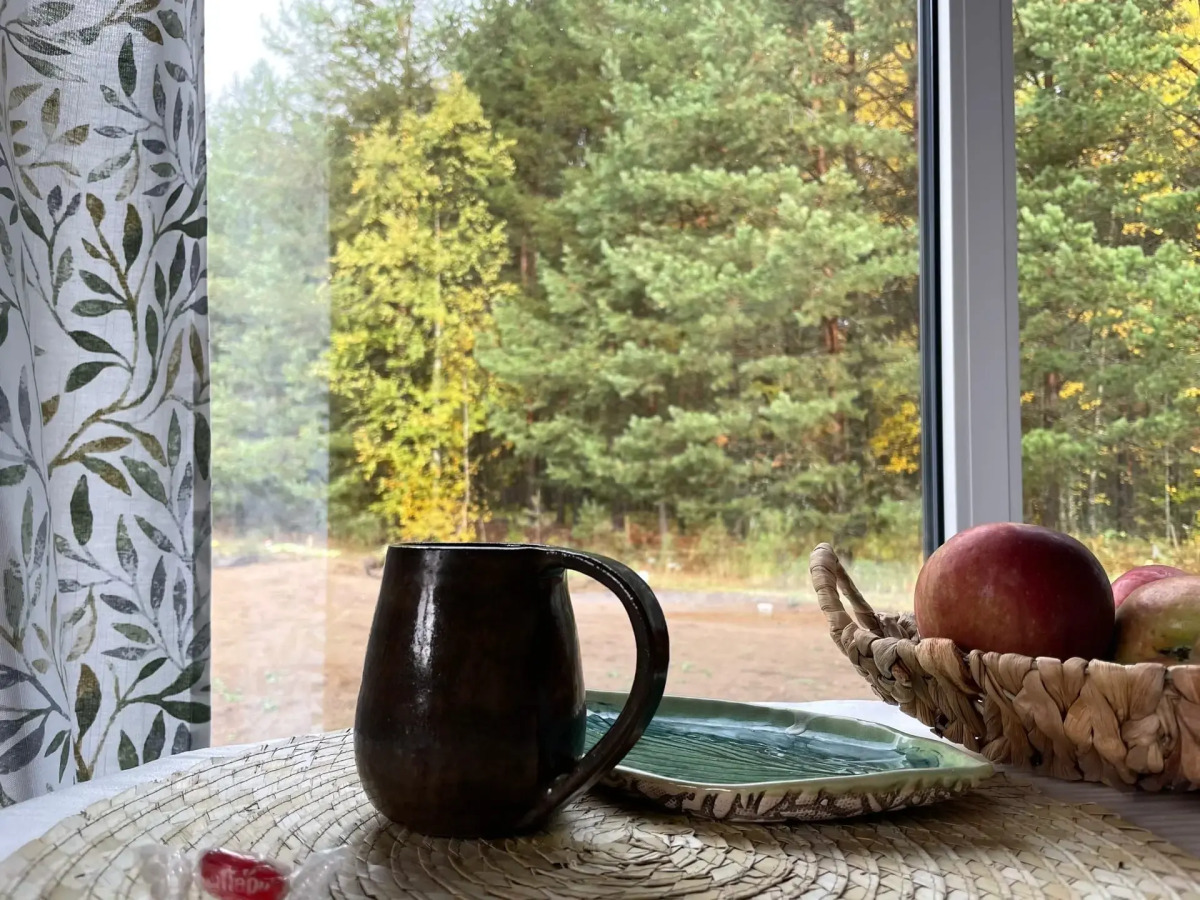 Гостевой дом Домик Скандик