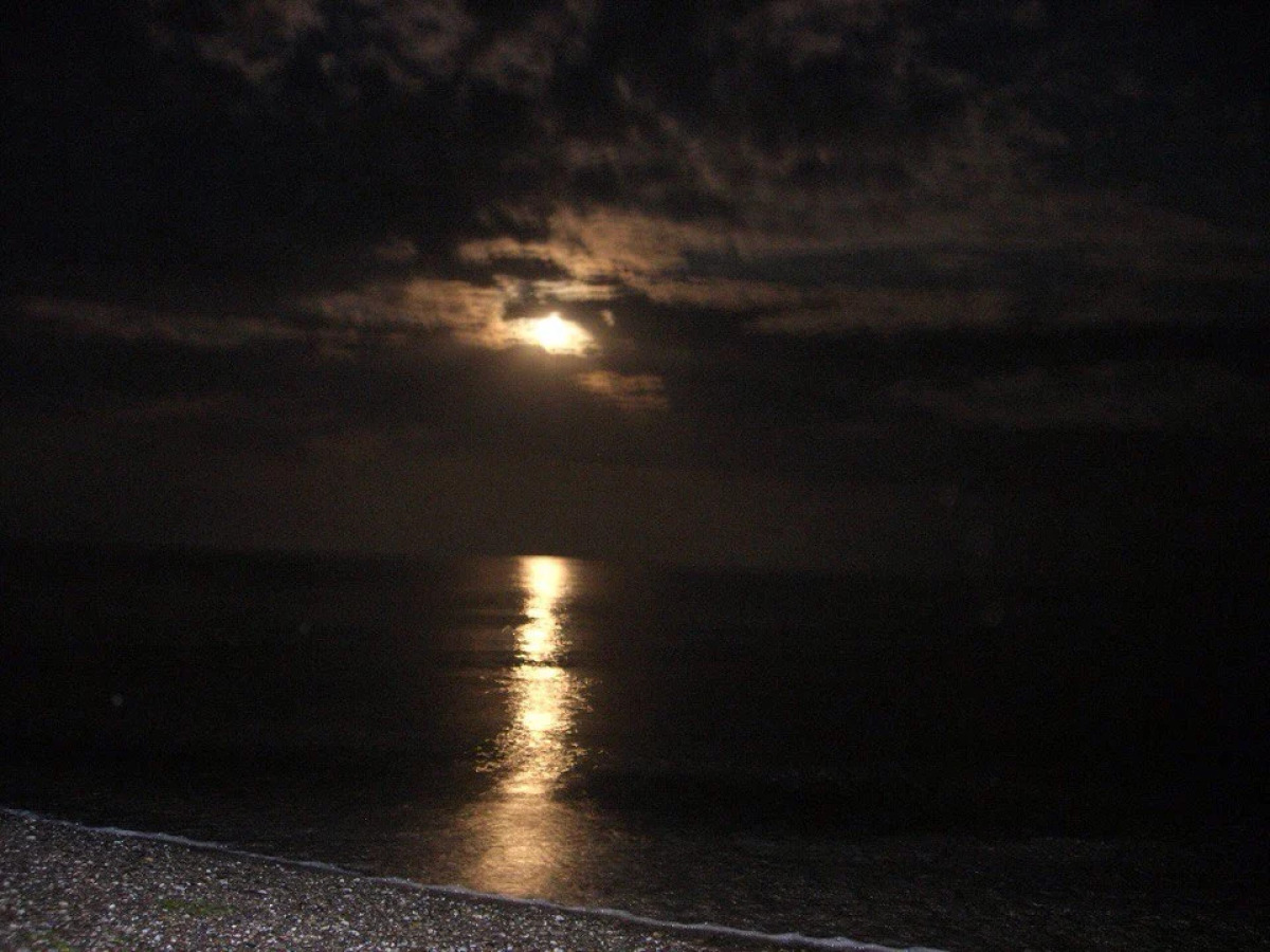 Отель Gala Paradise